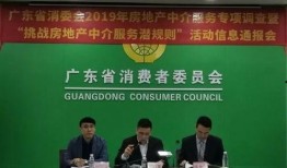 广东地产爆料最新消息,揭秘市场动态与热点项目动向