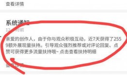 新瓜最新爆料消息视频,视频揭秘事件真相，独家解读幕后黑幕