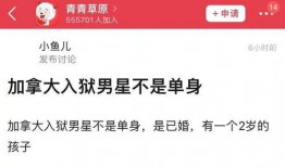 新瓜最新爆料消息视频,视频揭秘事件真相，独家解读幕后黑幕