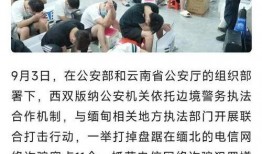 缅北最新爆料新闻,最新爆料揭露神秘势力动向