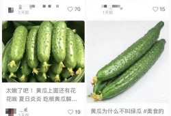 山东黄瓜爆料视频最新版,揭秘真相与争议