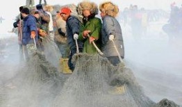 最新偷鱼爆料,揭秘幕后黑手与惊人内幕