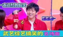 武艺爆料嘉宾名单大全最新,最新嘉宾名单大全，明星阵容大揭秘！