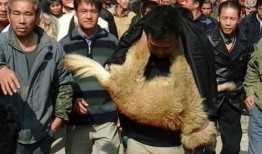 最新偷鱼爆料,揭秘幕后黑手与惊人内幕